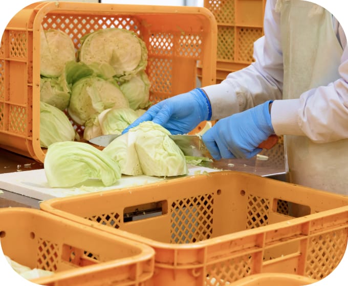 野菜加工中